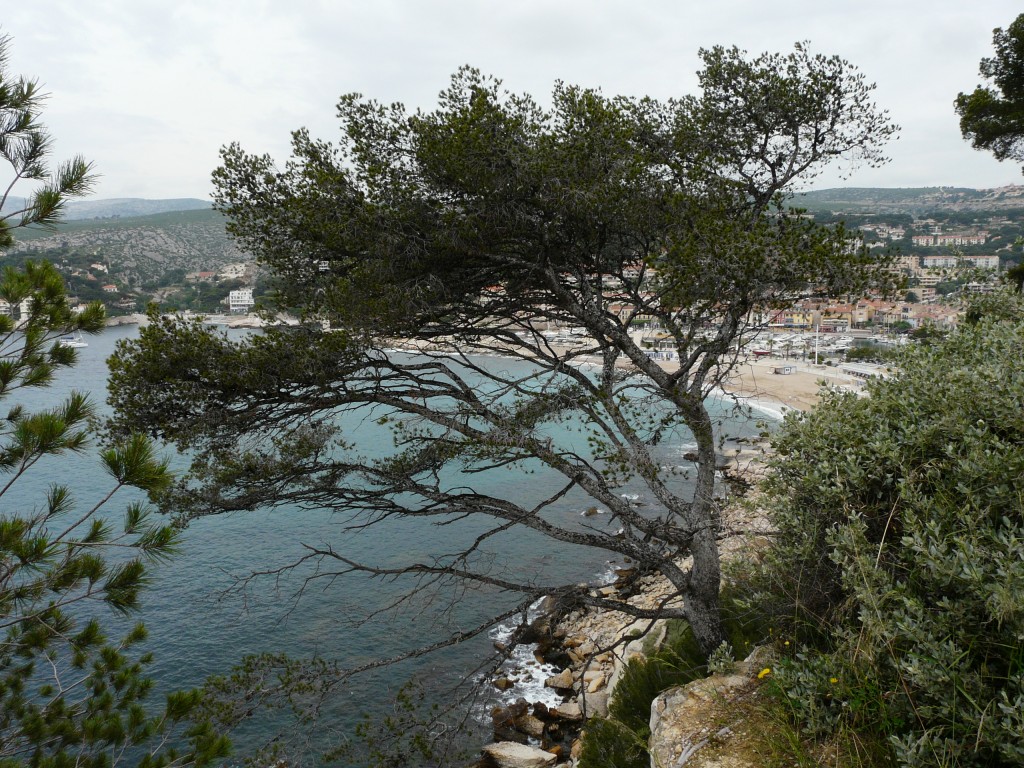 Cassis, 31-05-08, 10-32.jpg